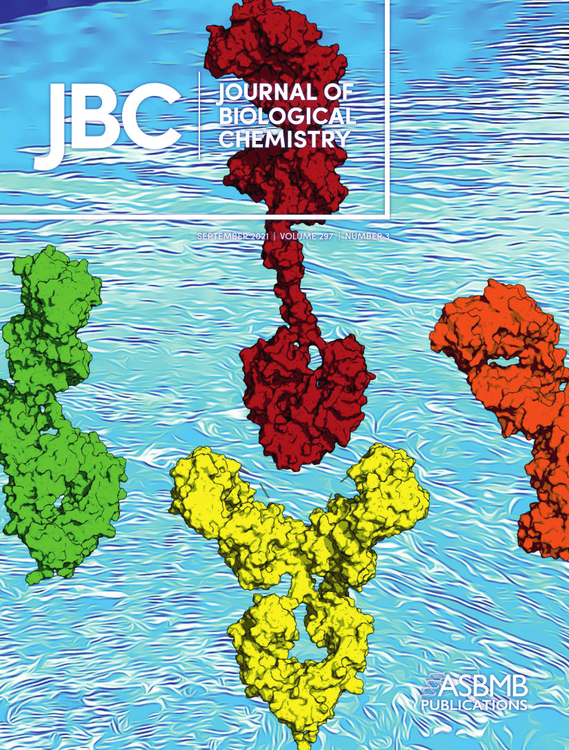 Cover picture from  J. Biol Chem. 297, 100995(2021)