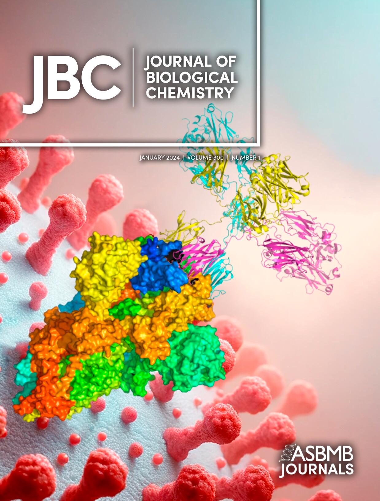 Cover picture from  J. Biol Chem. 299, 105337(2023)